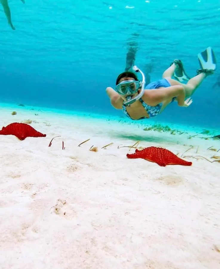 Best Friends Unit By Caribo Cozumel Mexico